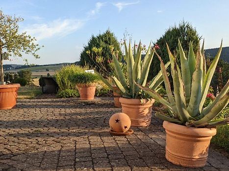 Ausblick von der Terrasse 